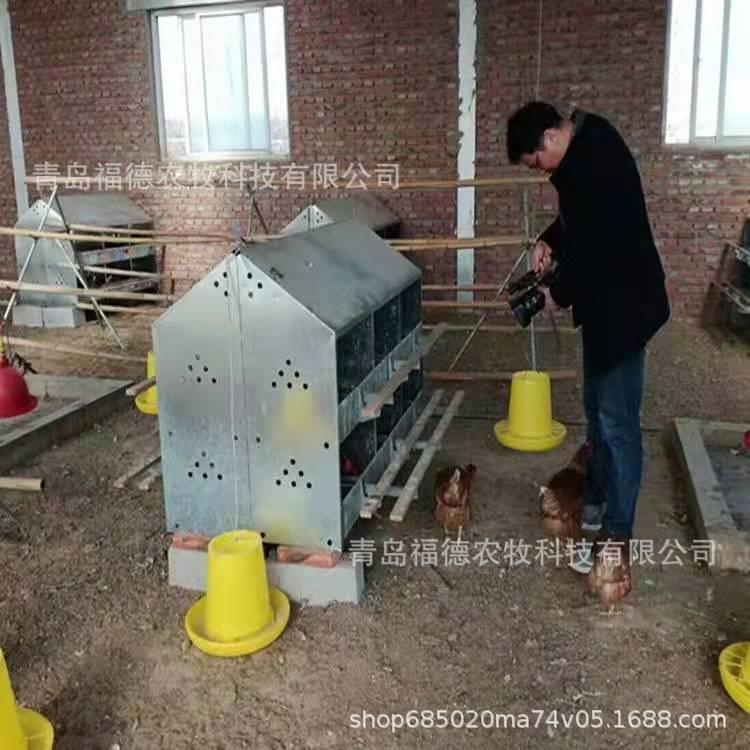 双层多穴产蛋箱 母鸡产蛋窝 厂家供应鸡蛋窝24穴产蛋箱