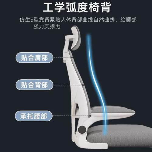 电脑椅家用舒适久坐靠背办公座椅人体工学电竞椅学生宿舍学习椅子