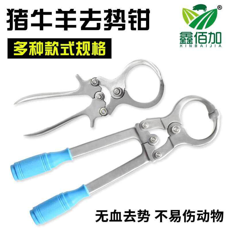 去势钳羊用羊蛋夹 不锈钢猪牛羊去势钳子羊阉割神器 公羊去势工具