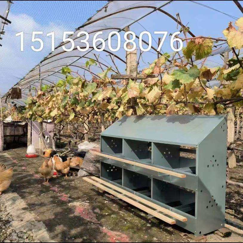 热销鸡用产蛋箱 12穴母鸡下蛋用产蛋箱 散养鸡用产蛋箱
