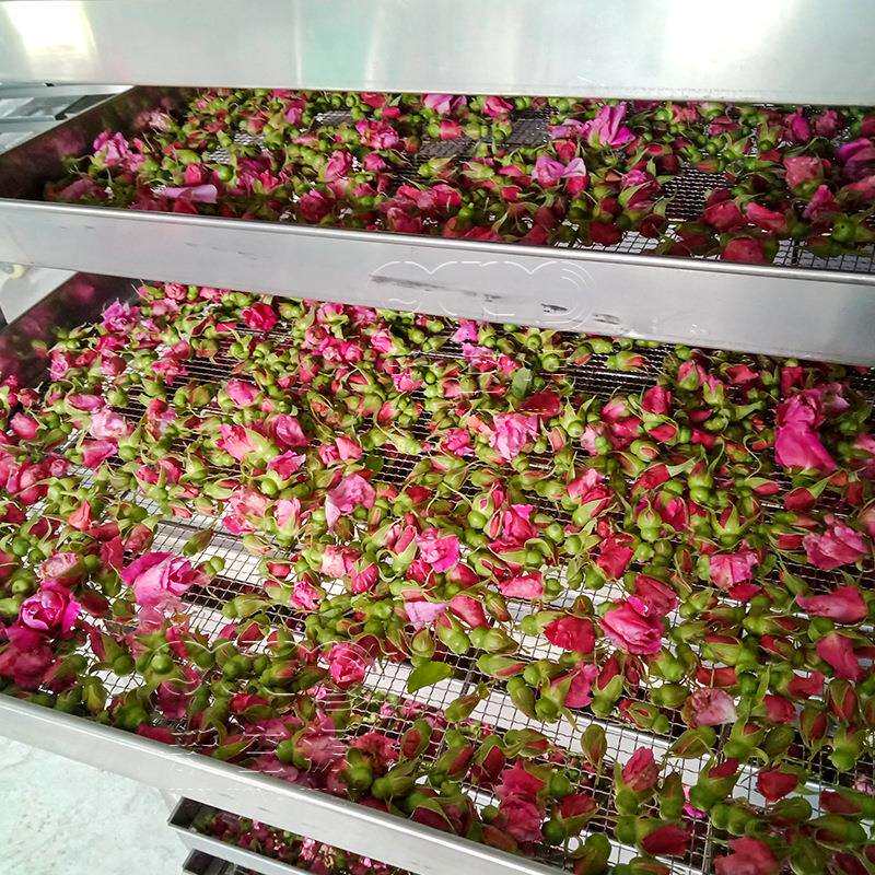 玫瑰花蕾烘干机 玫瑰花苞烘干房 商用空气能热泵花茶箱式干燥设备