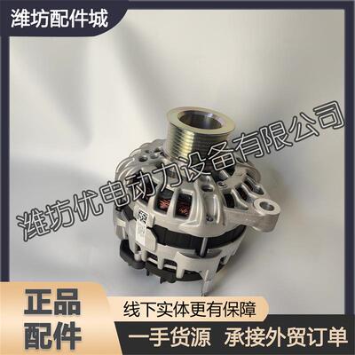 潍柴20M33博杜安6M26柴油发动机8M33配件1001415683发电机WP-FDJ
