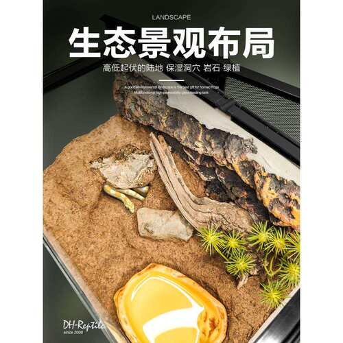蛇箱饲养缸宠物蛇箱带造景玻璃生态环境爬宠箱活蛇水陆缸景观