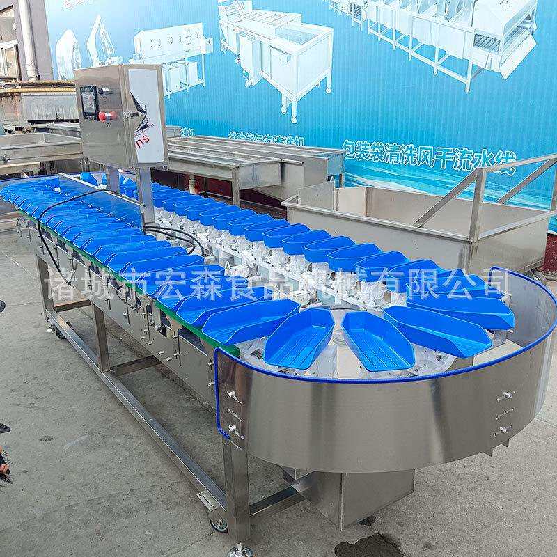 鱿鱼仔料盒式重量分选机海参龙虾重量大小分拣机猕猴桃橙子选果机