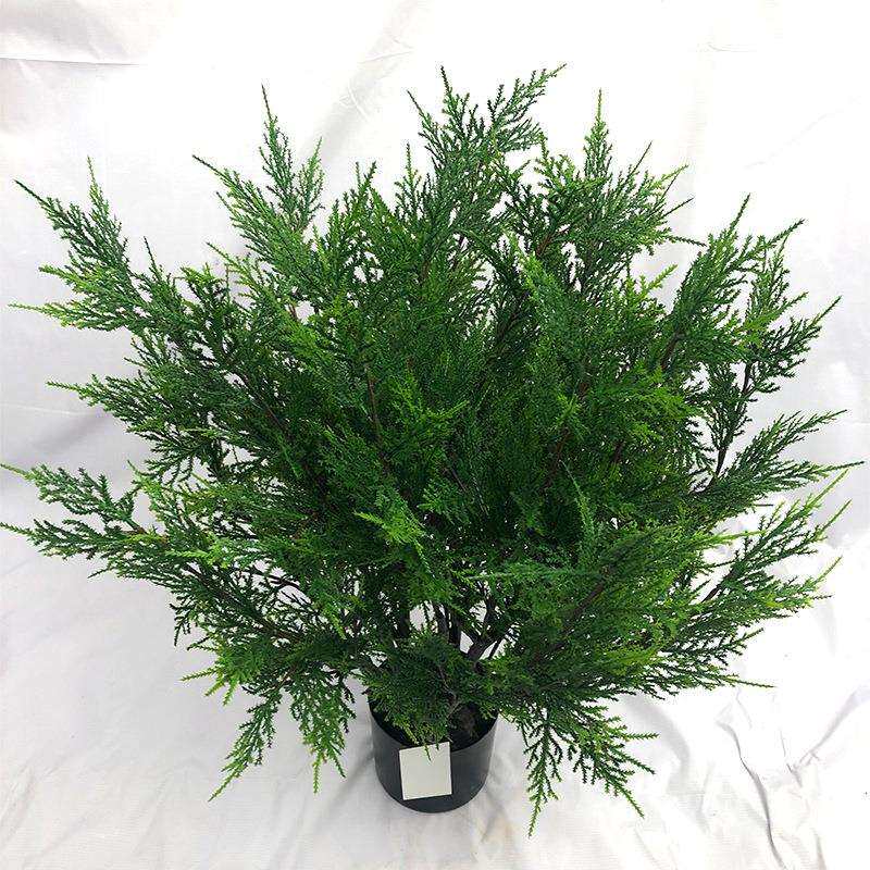 仿真植物柏树枝绿植侧柏树圣诞盆栽柏树客厅家居装饰摆设厂家