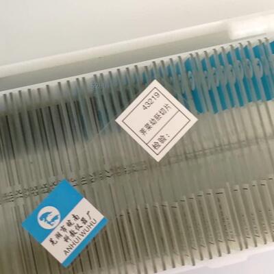 43219 荠菜幼胚切片 初高中学生物教学仪器永久切片装片玻片涂片