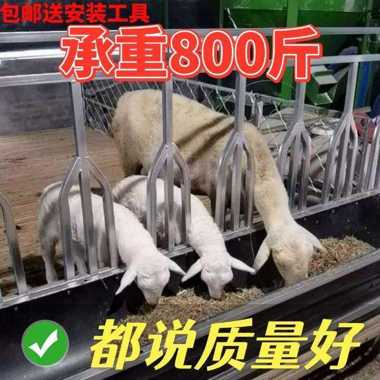 新款羊槽子喂羊槽子料槽输送带单面羊槽加厚颈夹脖子围栏移动羊圈