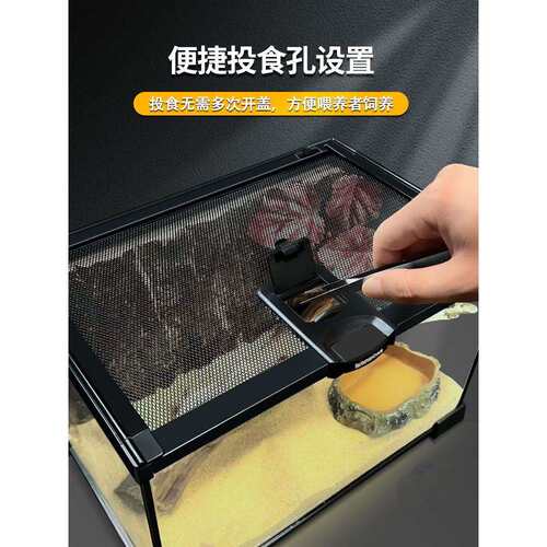 玻璃爬宠饲养箱雨林造景生态缸蜥蜴睫角守宫角蛙宠物蛇饲养盒桌面