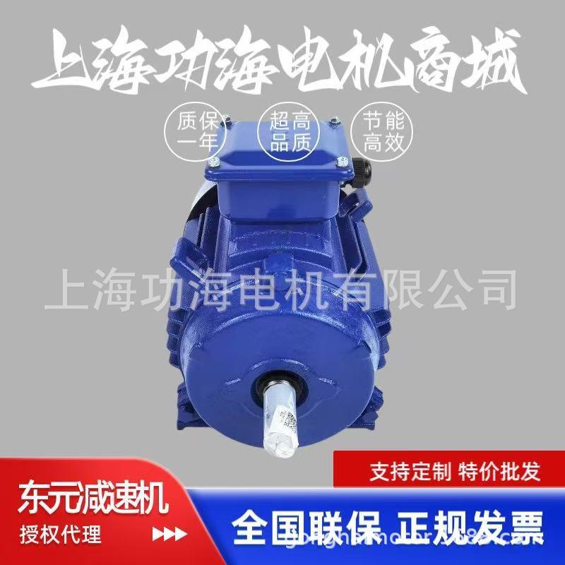 TECO东元电动机 东元马达 TEV3系列 GB3/IE3能效 AEEV3N040010YWE
