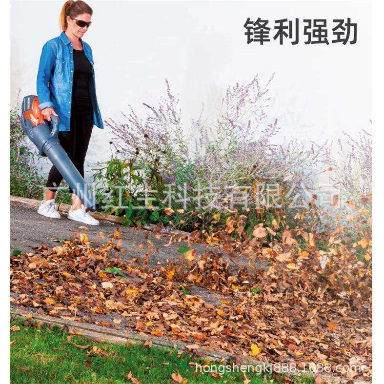 意大利欧玛BVi60锂电吹风机充电式吹落叶机手提路面吹雪机