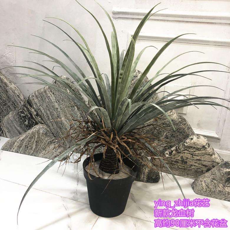仿真植物盆栽铁树龙血树丝兰鸟巢叶商场酒店田园绿植单只/束摆件
