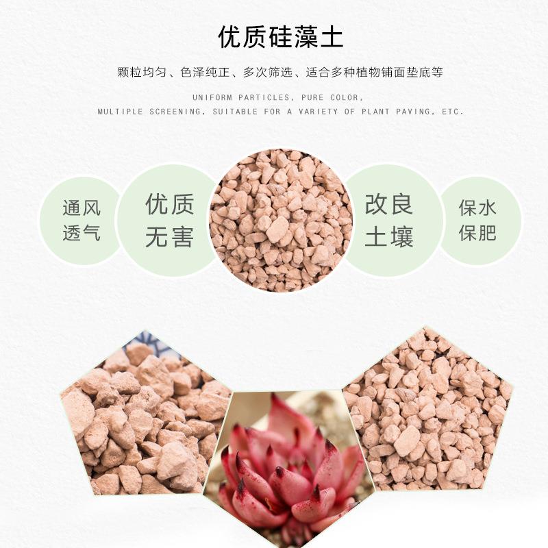多肉植物硅藻土颗粒园艺兰花栽培水培基质盆栽铺面用绿植透气性