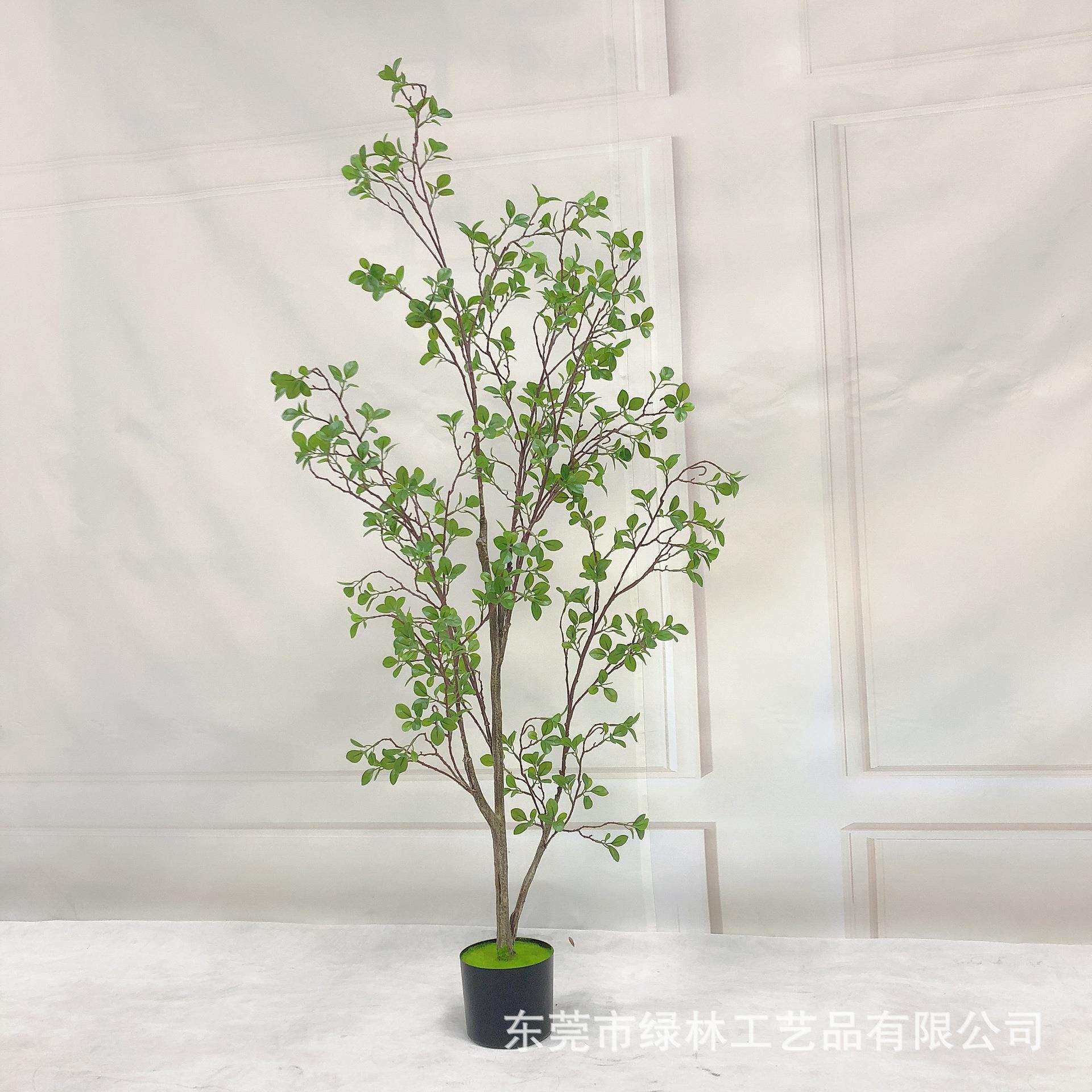 仿真椿树高档美式加密款落地植物橄榄树盆景摄影道具装饰盆栽