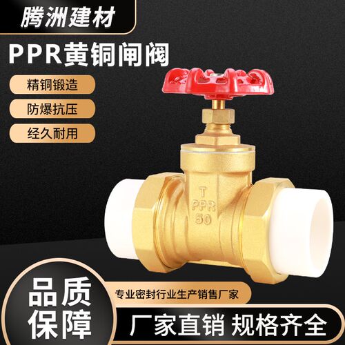 黄铜PPR闸阀双活接热熔停止阀自来水管道工程专用PPR20 25 63