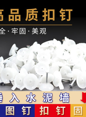 广告扣钉壁纸固定钉墙钉高硬度水泥钉KT板喷绘布海报固定大头钢钉