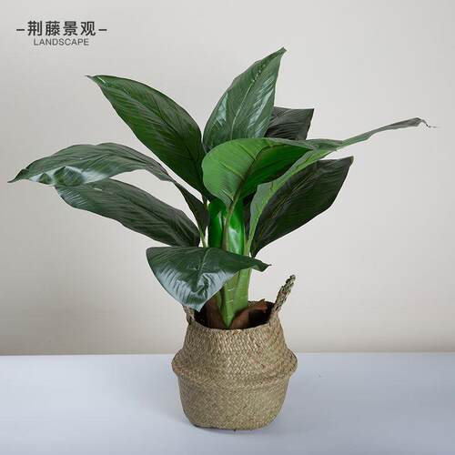 大型落地盆栽仿真绿植香椿绿巨人北欧风热带绿色客厅植物榕树蕨类
