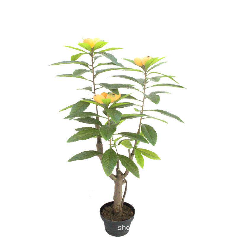 仿真植物17号盆栽枇杷叶树摄影背景枇杷叶叶子落地盆景客厅