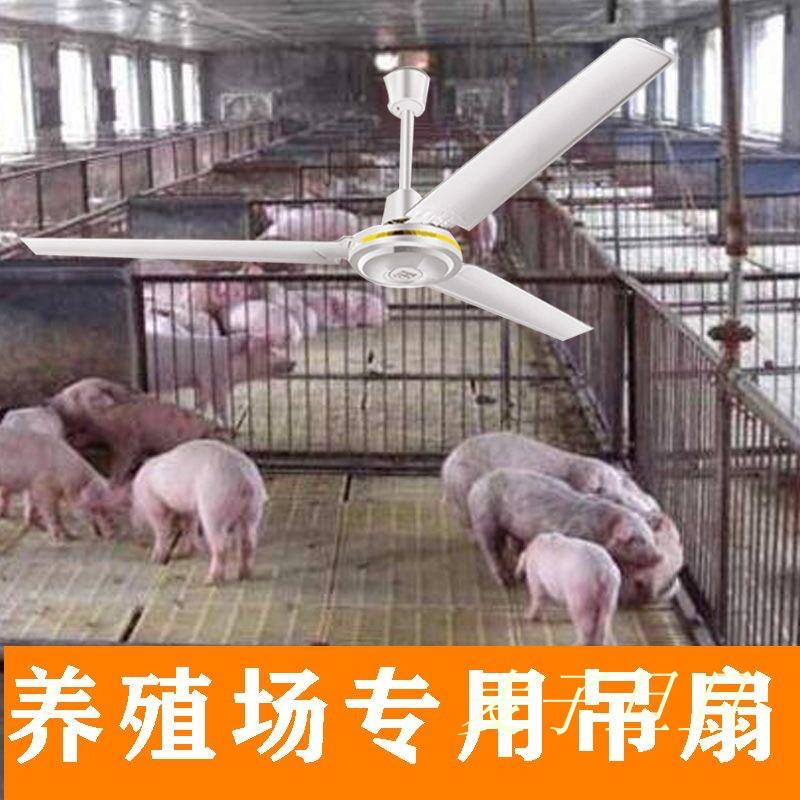 猪场专用吊扇养殖猪舍工厂猪用猪厂降温大冷风饲养电扇猪解热神器