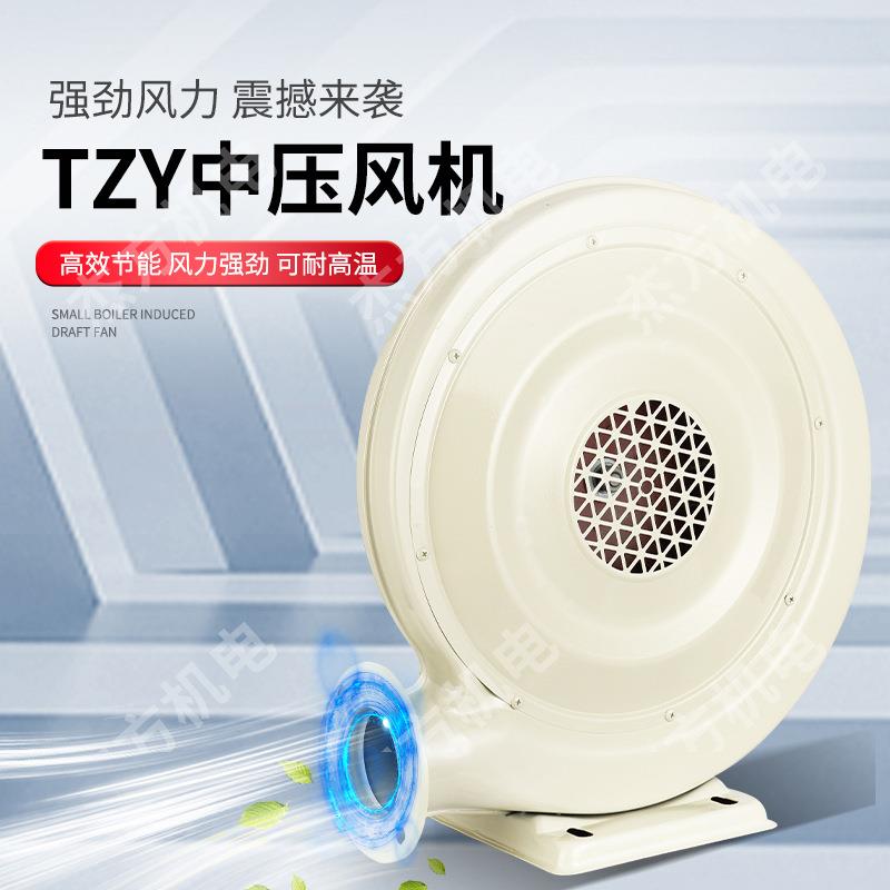 厂家CZR250W 220V铁壳鼓风机中压吹风彩虹门鼓风机大风量铜线