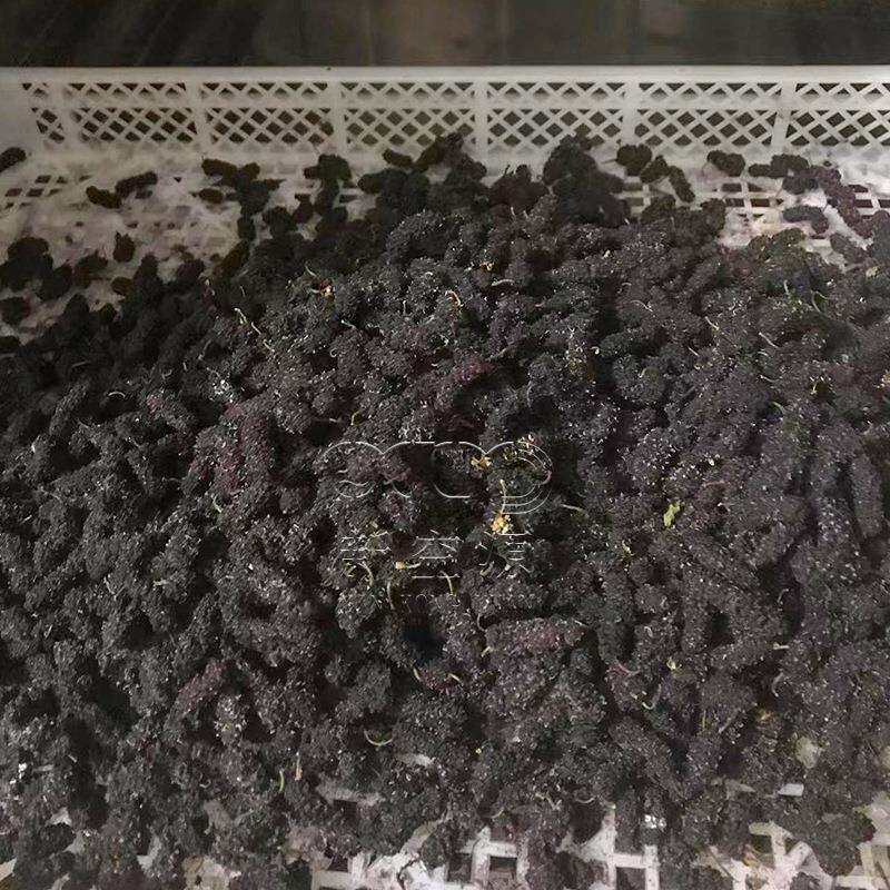 桑葚干烘干机 空气能桑枣烘干房 农产品 水果烘干设备 厂家供应