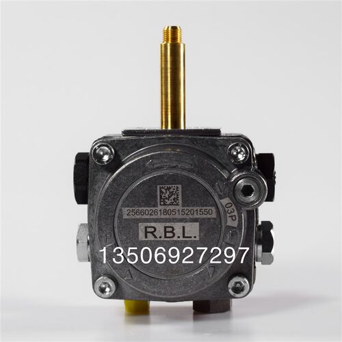 40G油泵利雅路G10LCG20LC燃烧机专用燃烧器G5G10G20柴油泵