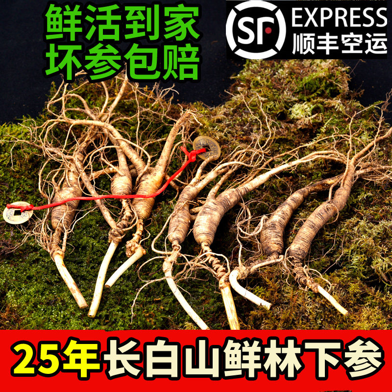 野生鲜人参长白山鲜林下参老山参新鲜籽参整枝野山参25年泡酒煲汤