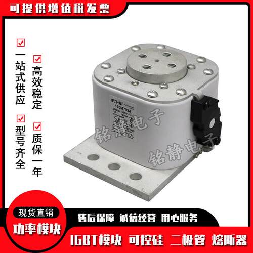 170M7035 170M7036 170M7037 170M7156巴斯曼熔断器170M7751