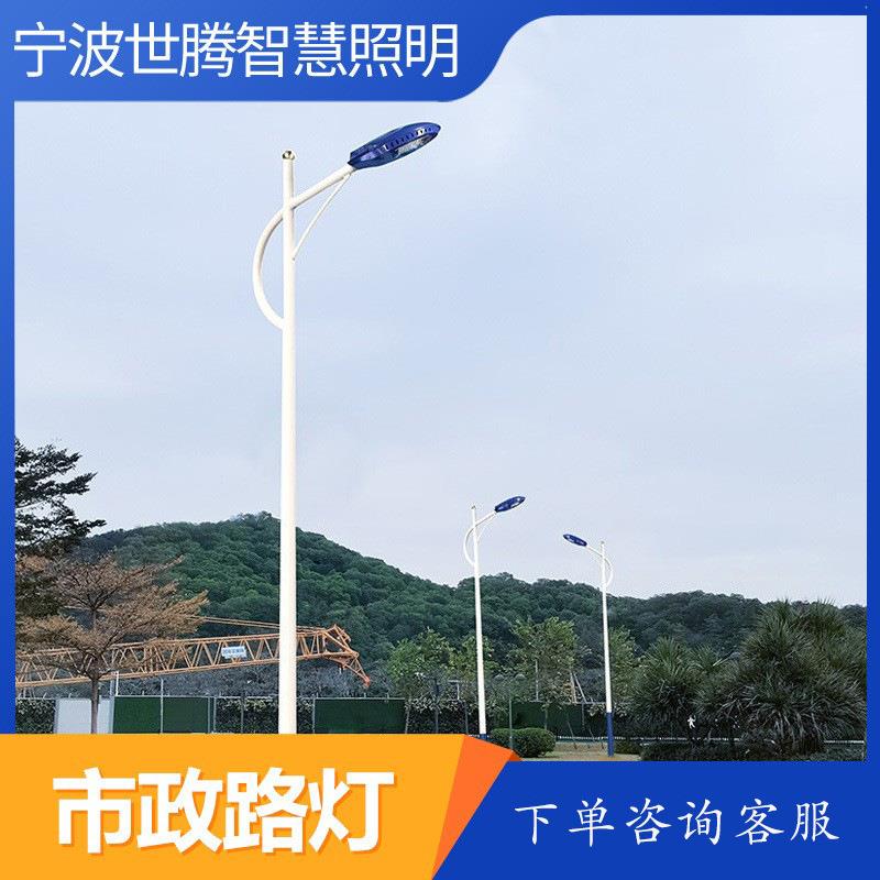 市政工程路灯高亮镀锌LED灯户外小区新农村高杆防水6米智慧道路灯