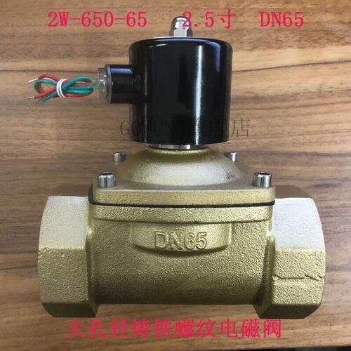 Gowung汽车淋水电磁阀大口径2.5寸3寸4寸铸铁螺纹连接DNDN65DN80D