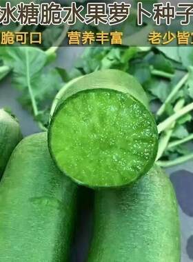 冰糖心萝卜种甜脆可口营养丰富正宗潍坊沙窝水2元包邮小商品88vip
