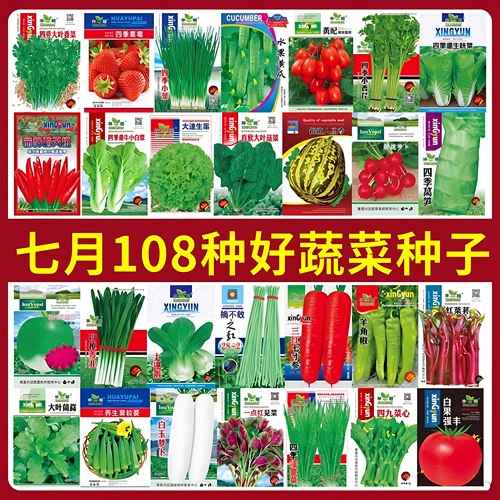 七月份种耐热好种蔬菜种子