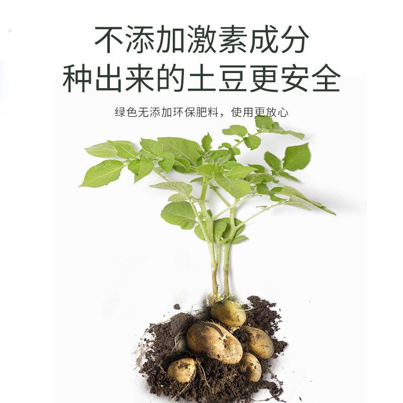 施可丰 土豆马铃薯复合肥专用型化肥料种植洋芋缓释肥有机肥家用