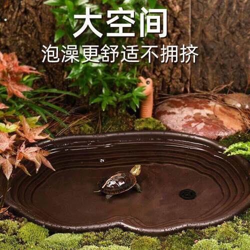 全阶梯乌龟泡澡盆黄缘龟洗澡盆养殖箱造景盆陆龟半水龟安缘洗澡盆