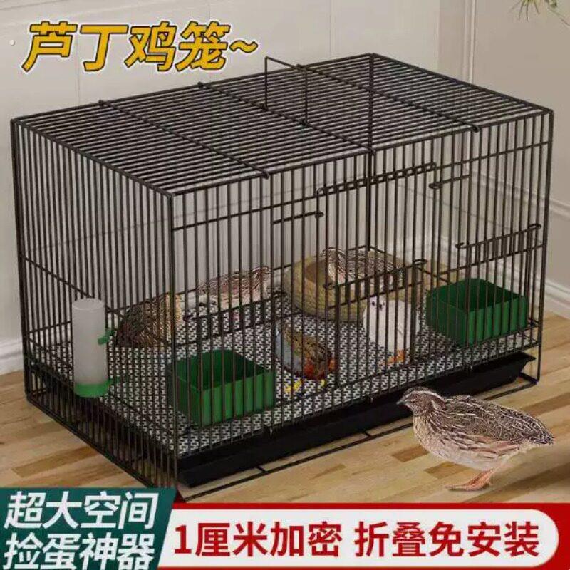 芦丁鸡专用养殖笼子家用加密大号芦丁鸡铁丝笼小鸡小鸭子鹌鹑鸟笼