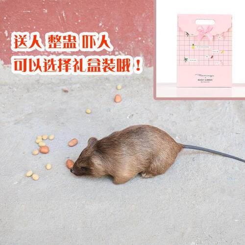 真仿真老动物模型公鼠仔玩偶假吓人整盅皮3362神器耗子家居摆件