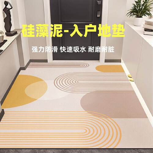 矽藻泥入户门地垫新款门口家用脚垫地毯门垫进门垫子防滑可裁剪