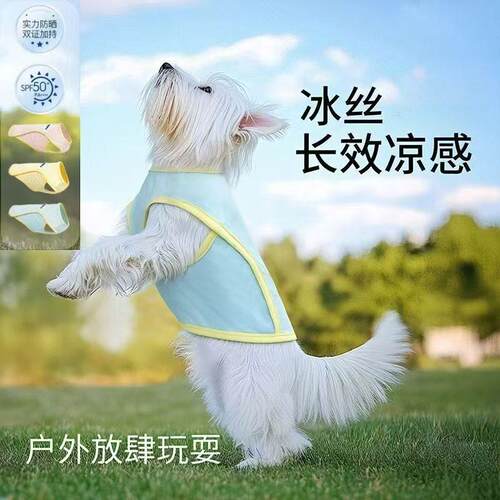 夏季清凉背心英短布偶防晒运动衣猫咪宠物狗狗冰丝凉凉衣透气薄款