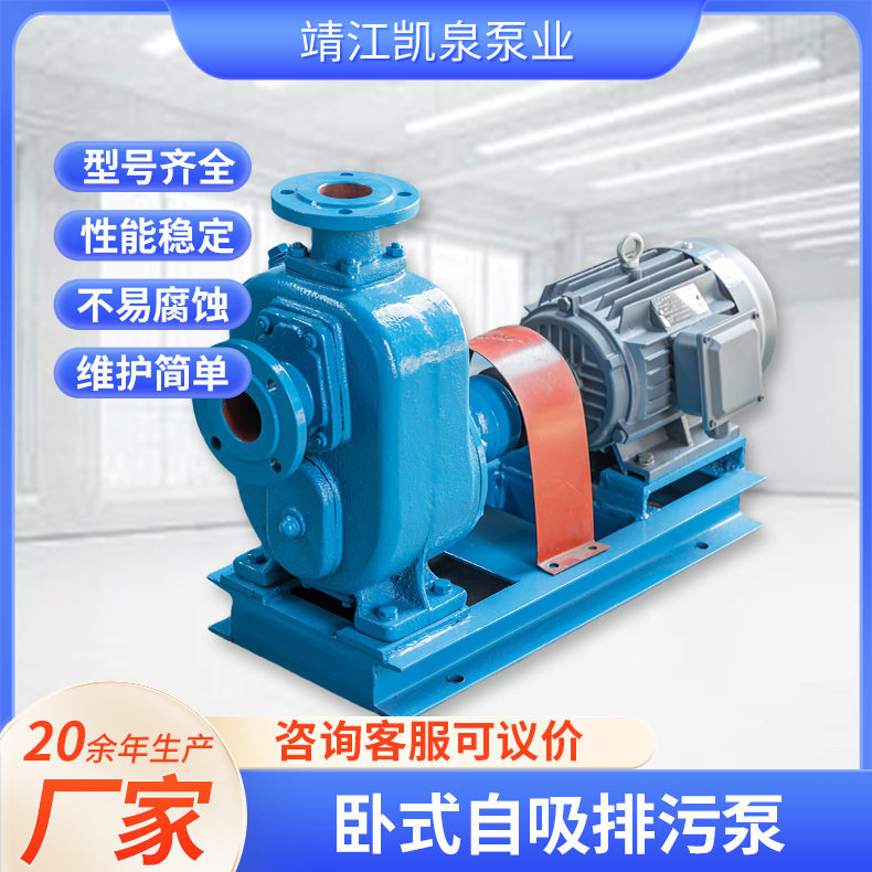 卧式自吸排污泵生活污水处理自吸水泵污水提升泵站城市排水排污泵