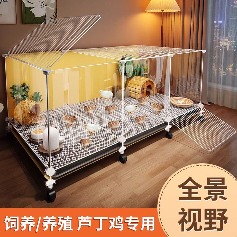 芦丁鸡饲养箱家用造景小屋鸡育雏保温箱鸡窝专用小鸡笼子鹌鹑养殖