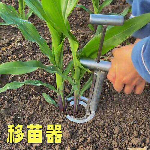 移苗栽苗器不锈钢移栽神器种菜打孔器秧苗泥土打洞器玉米起苗工具