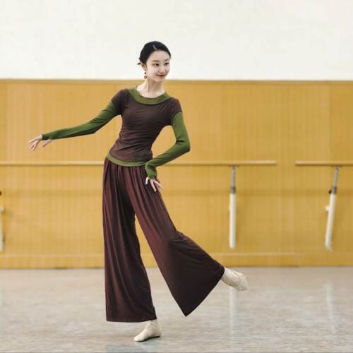 现代舞蹈服古典中国舞练功服女秋季假两件长袖上衣形体训练服瑜伽