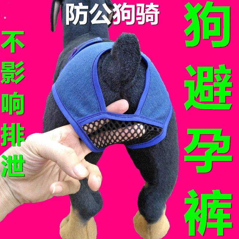 母狗生理裤子狗狗避孕月事裤衣服装宠物防骚扰狗绝育例假狗防交配