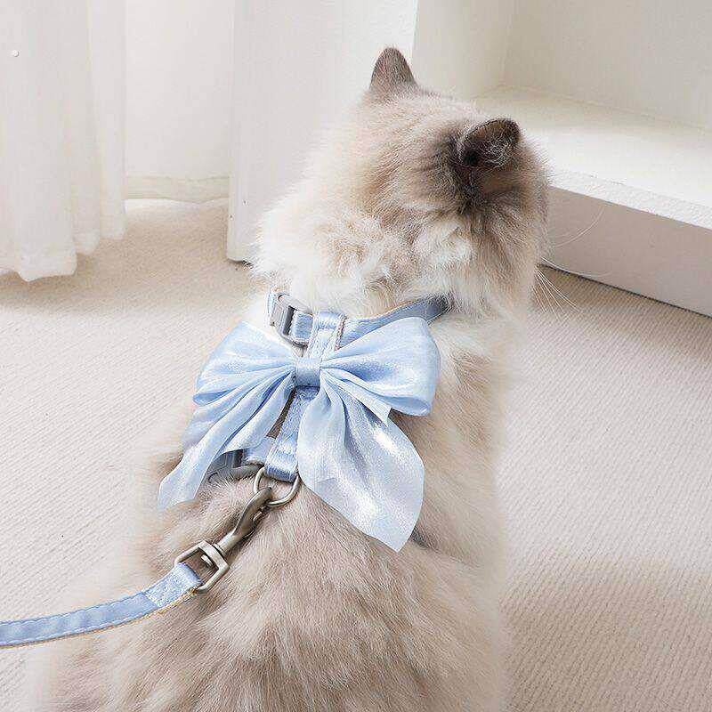防挣脱外出专用遛猫绳溜猫链子狗狗工字型胸抱婴袋猫咪牵引绳公主