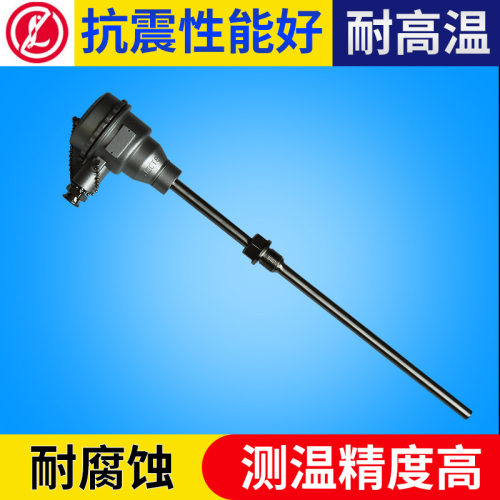 耐高温防爆热WZP-240热电阻 pt100探头式热电阻 防腐电热电阻