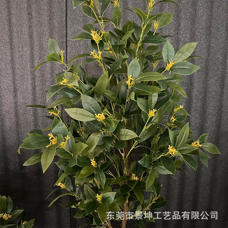 仿真桂花树室内造景塑料盆栽装饰办公室落地摆件庭院景观拍摄道具
