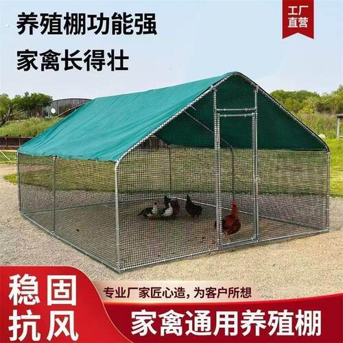 新型户外养殖棚养鸡棚鸡舍家禽耐用鸭棚防雨棚鸭笼鹅狼鸡笼子大棚