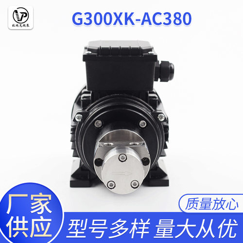 不锈钢微型齿轮泵齿轮油泵G312XK/AC220B(380)酒精 油 润滑性液体