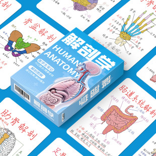 110张人体解剖学消化系统心脏脊椎结构医学知识图解学习lomo卡片