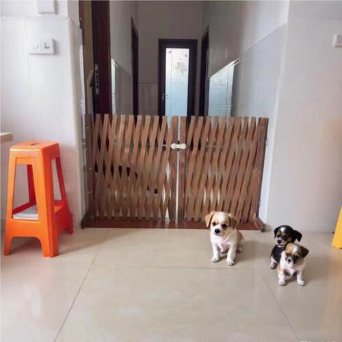 防腐木栅栏隔离门户外室内伸缩隔断拦猫拦狗兔栅栏挡板隔离网门栏