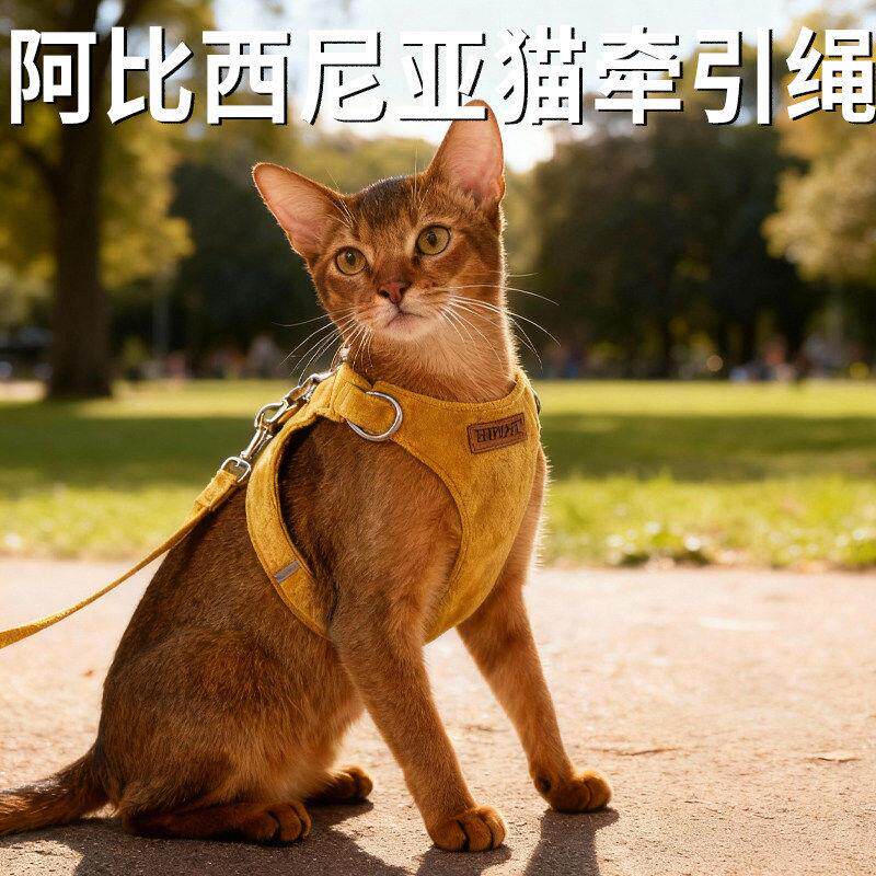 猫牵引绳阿比西尼亚防挣脱外出专用小猫咪出门绳子背心胸背可调节